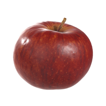 Apple AR model fruit 3D model download