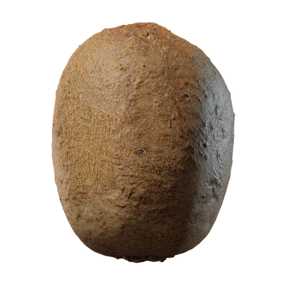 Kiwi Fruit 3D Model Fruit AR Experience