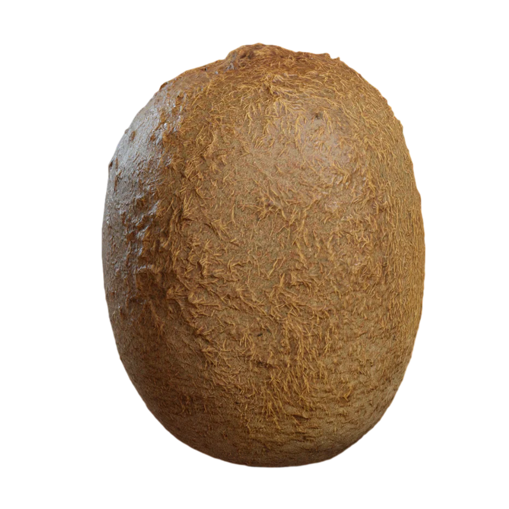 Kiwi Fruit 3D Model Fruit AR Experience