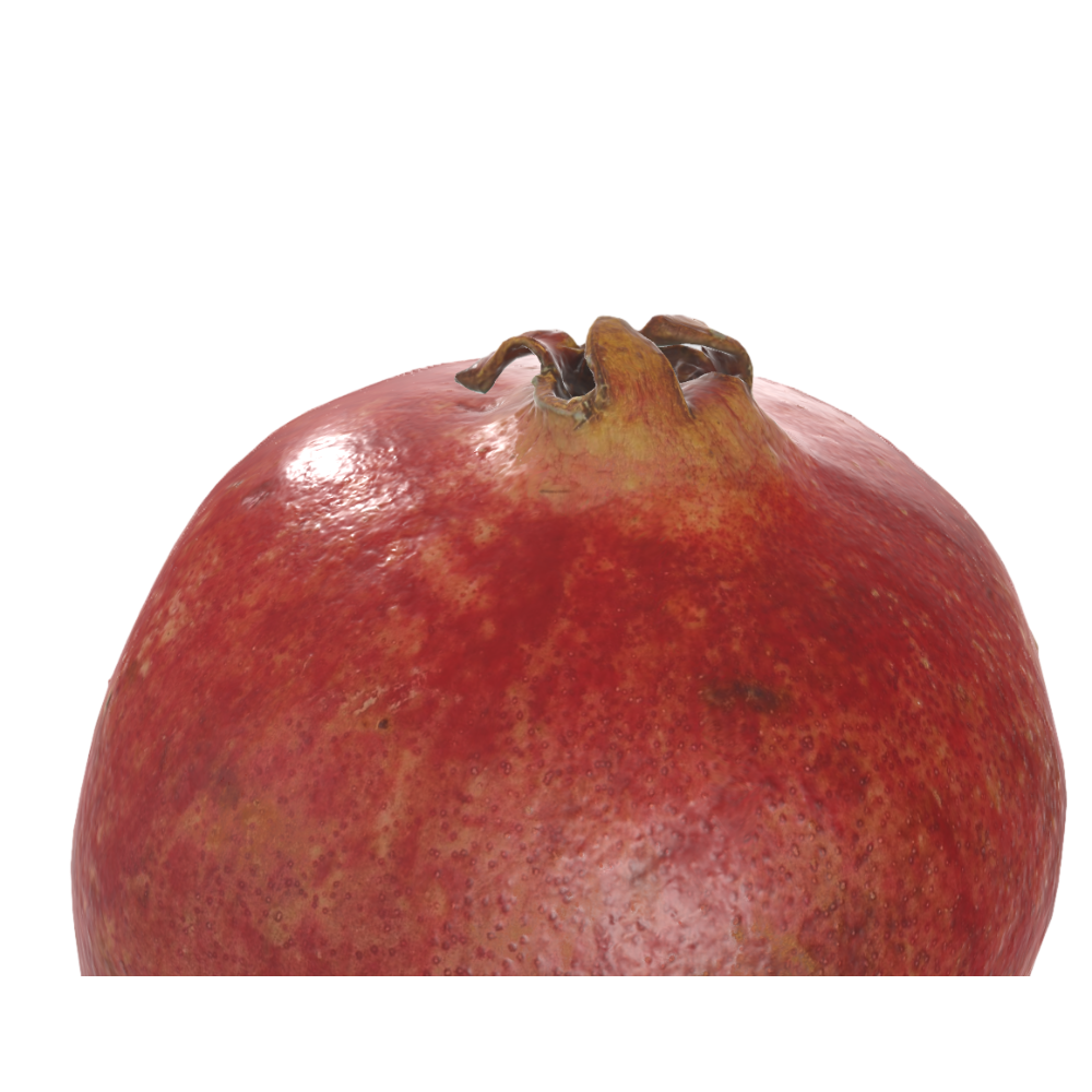 Pomegranate 3D Model Fruit AR Model Food Science Popularization