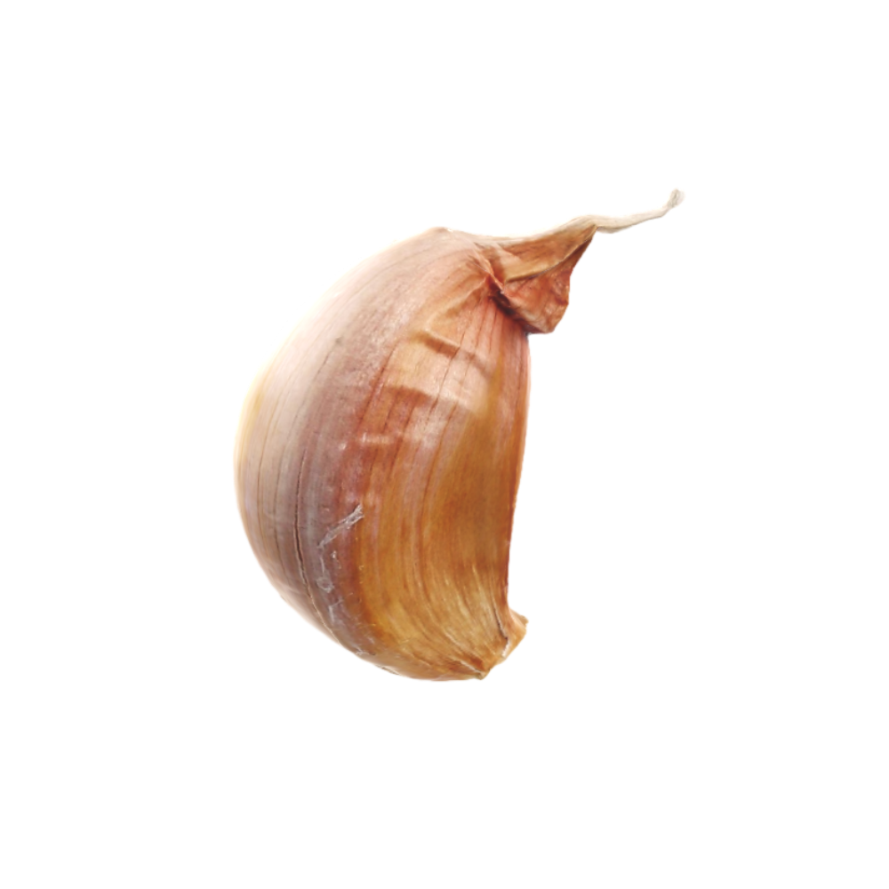Garlic 3D Model AR Garlic