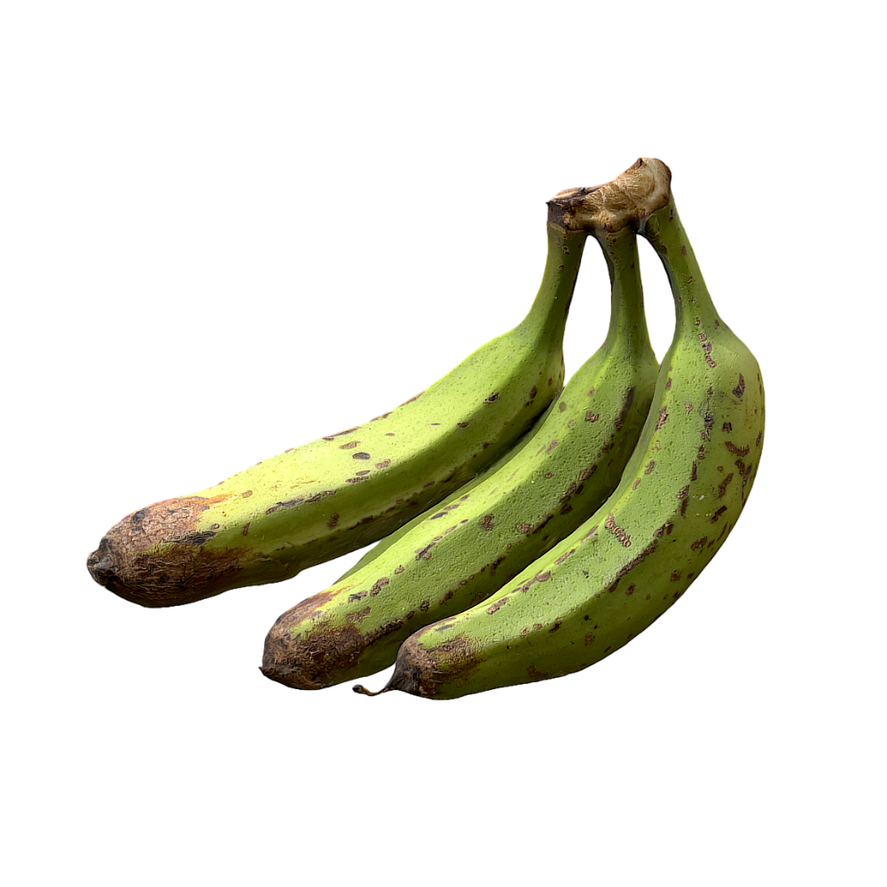 A bunch of green banana 3D model banana green