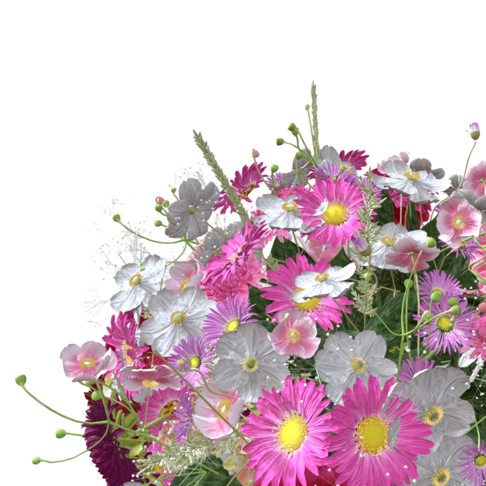 potted flower planting