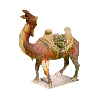 Tang tricolor camel