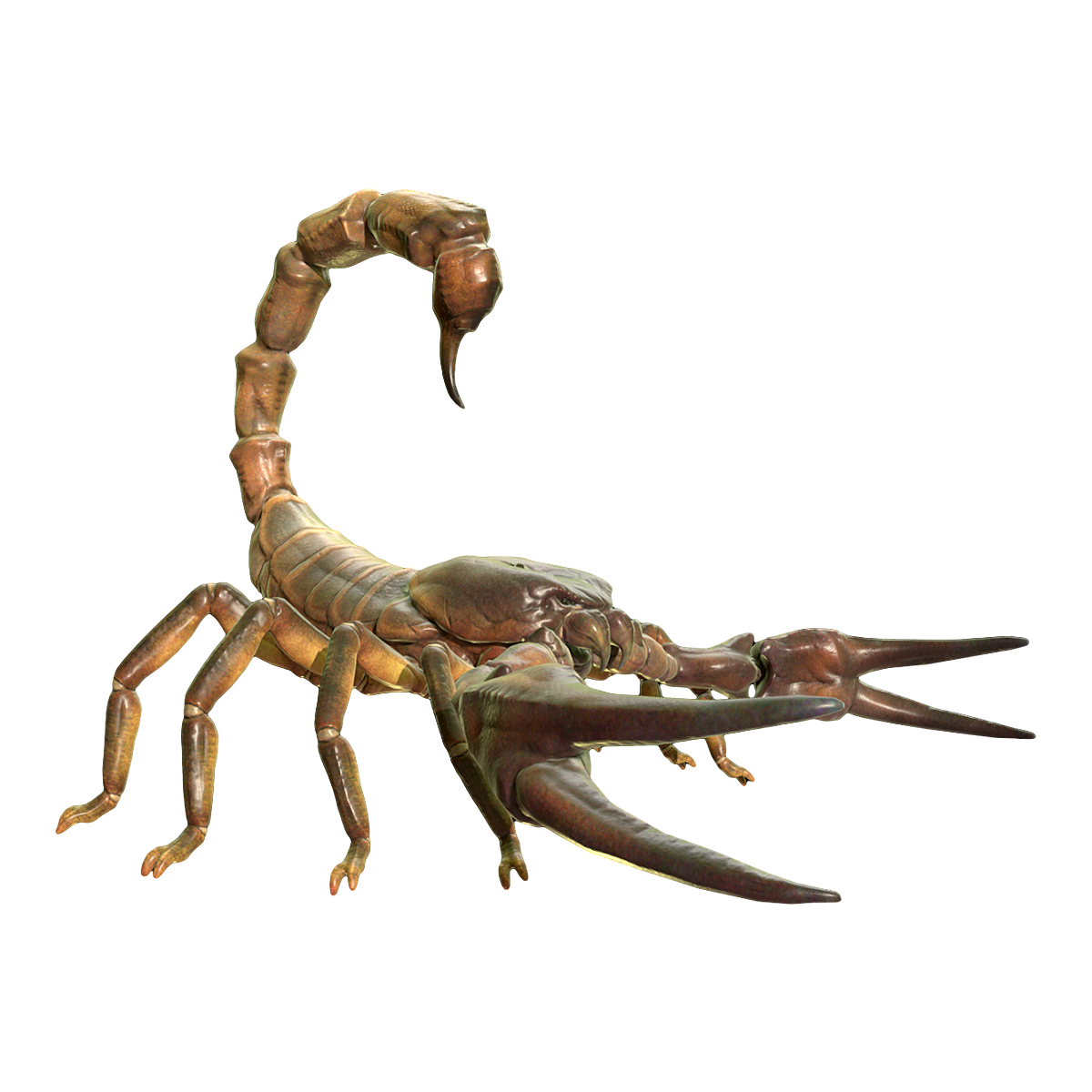 Giant Scorpion 