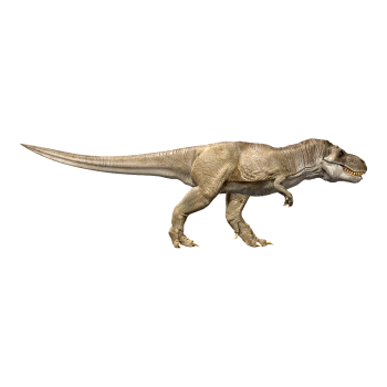 Cretaceous Tyrannosaurus rex