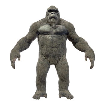 Kong, the protagonist of the movie 'K Ō NG'