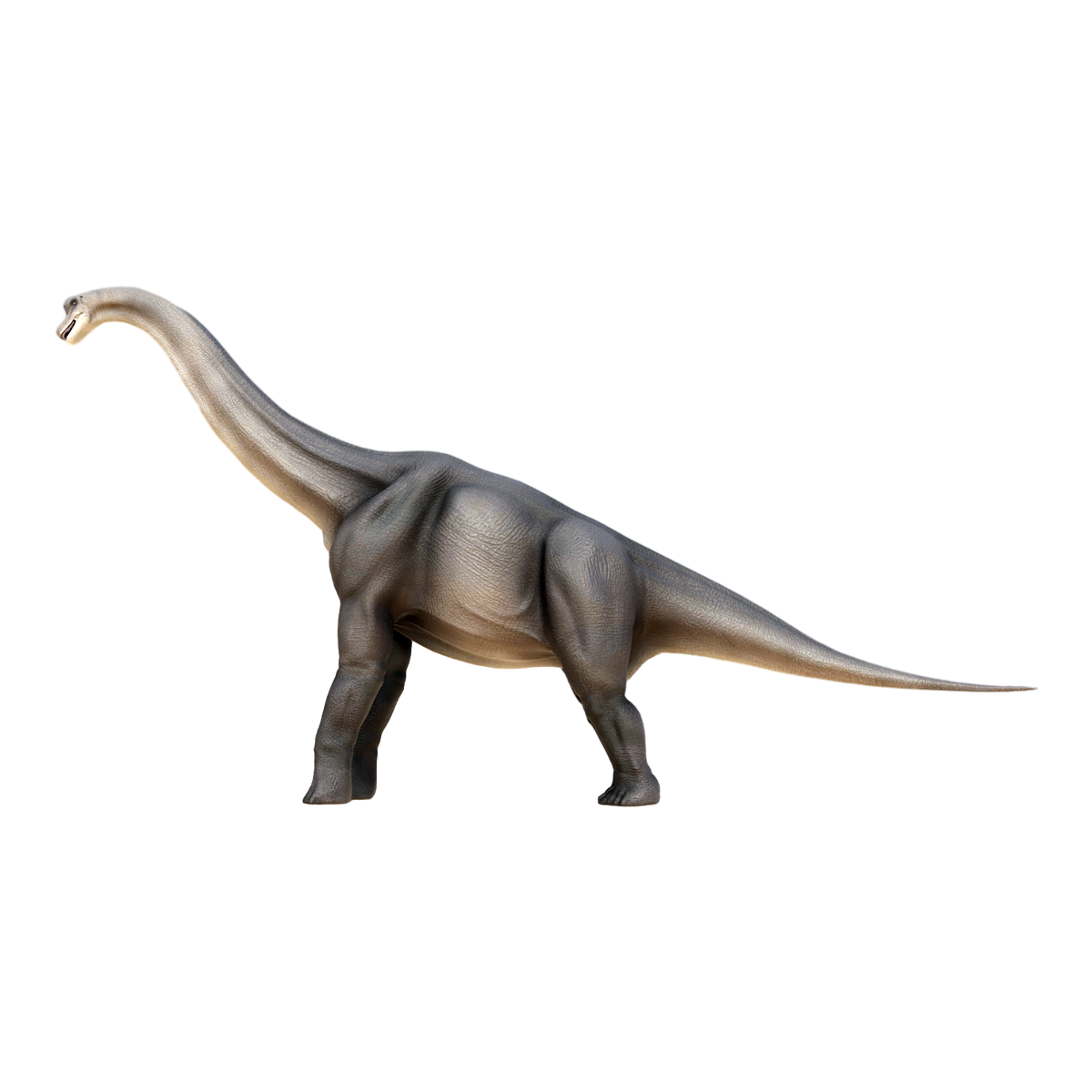 brachiosaurus 