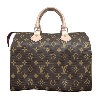 Louis Vuitton Speedy 25 Louis Vuitton Classic Printed Leather Handbag
