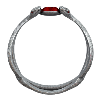 A niche dark series inlaid red zircon snake shaped ring