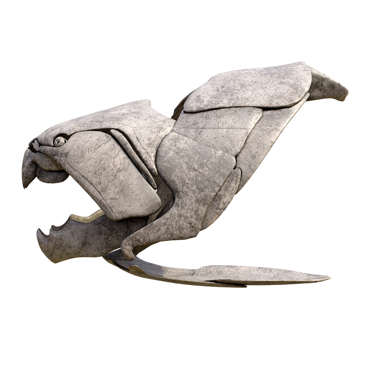 Deng's fish skull fossil