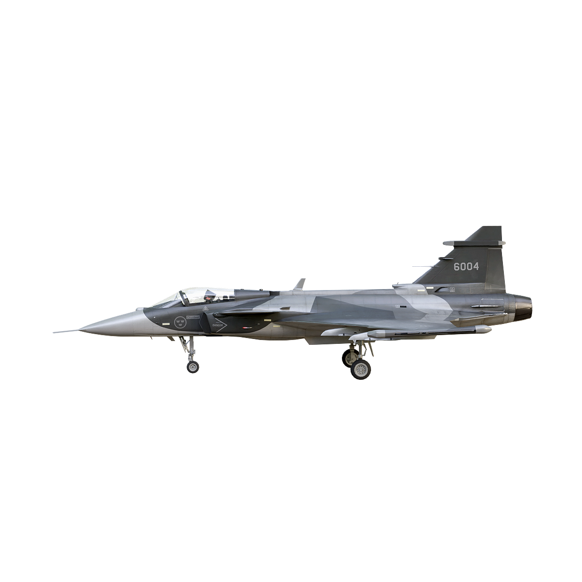 Saab JAS39 "Eagle Lion" fighter jet