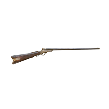 Rifle 21 Toledo