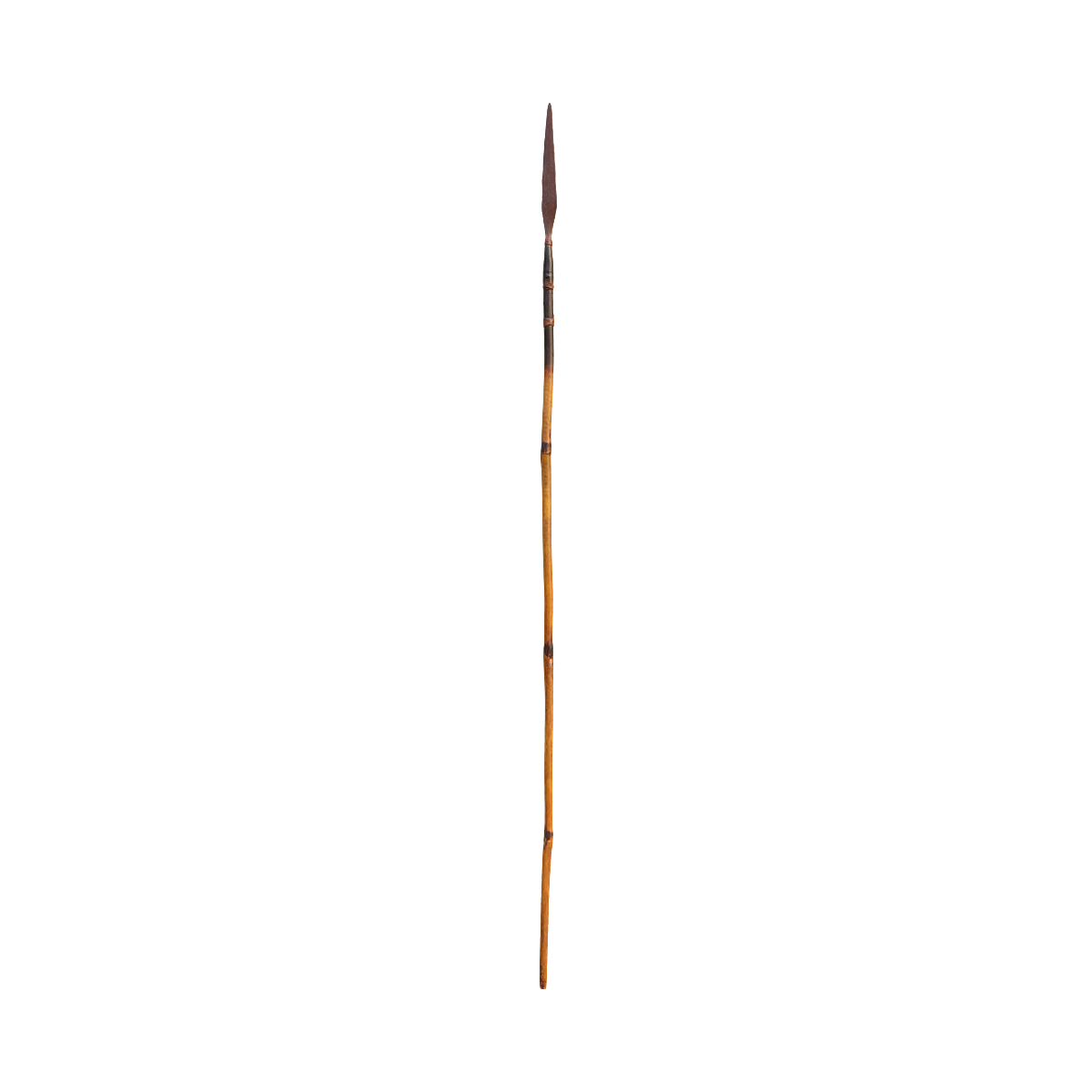 Simple bamboo spear