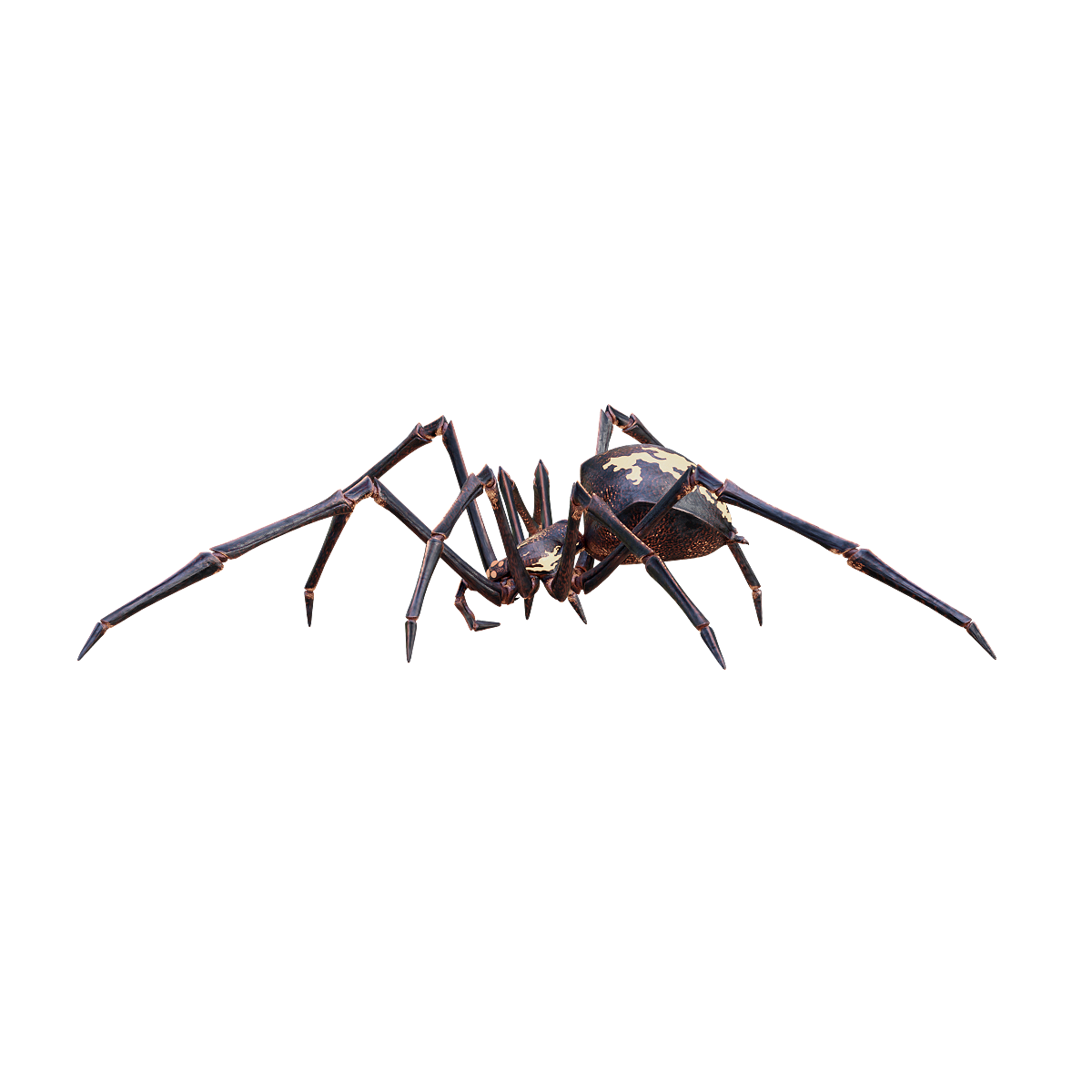 Long legged spider (with action 3D model)
