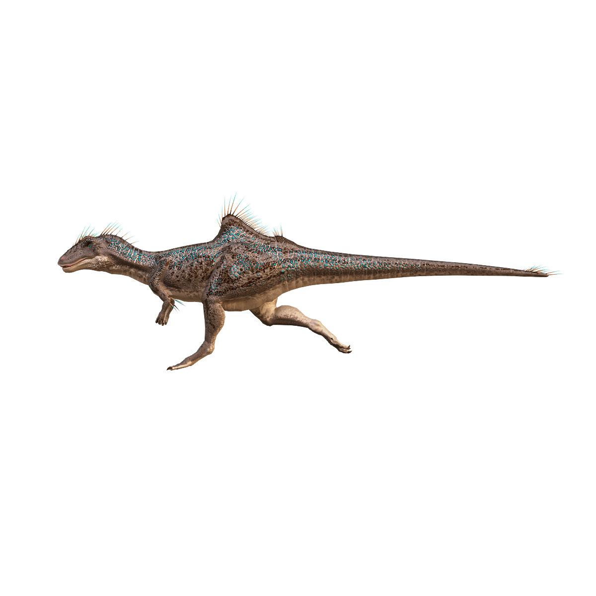 Kunka Hunting Dragon (with action 3D model)