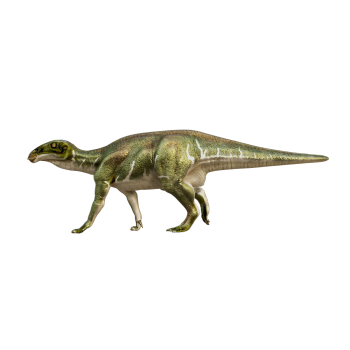 Iguanodon (with 3D animated model)