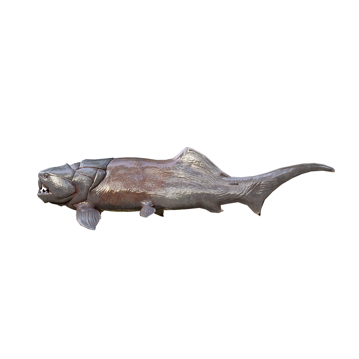 Deng's Fish 3D Animation Model