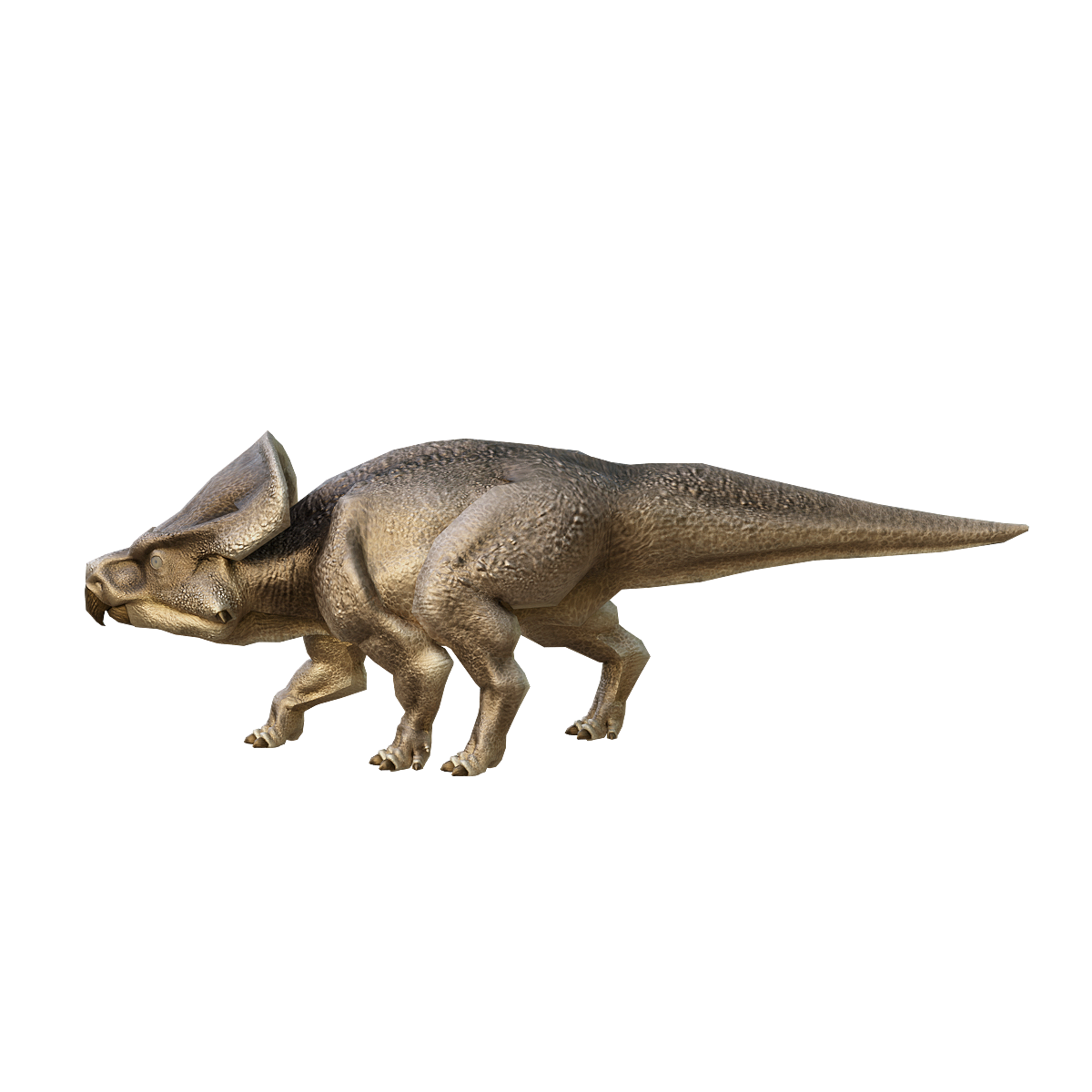 Anshihara Ceratopsian 3D Animation Model