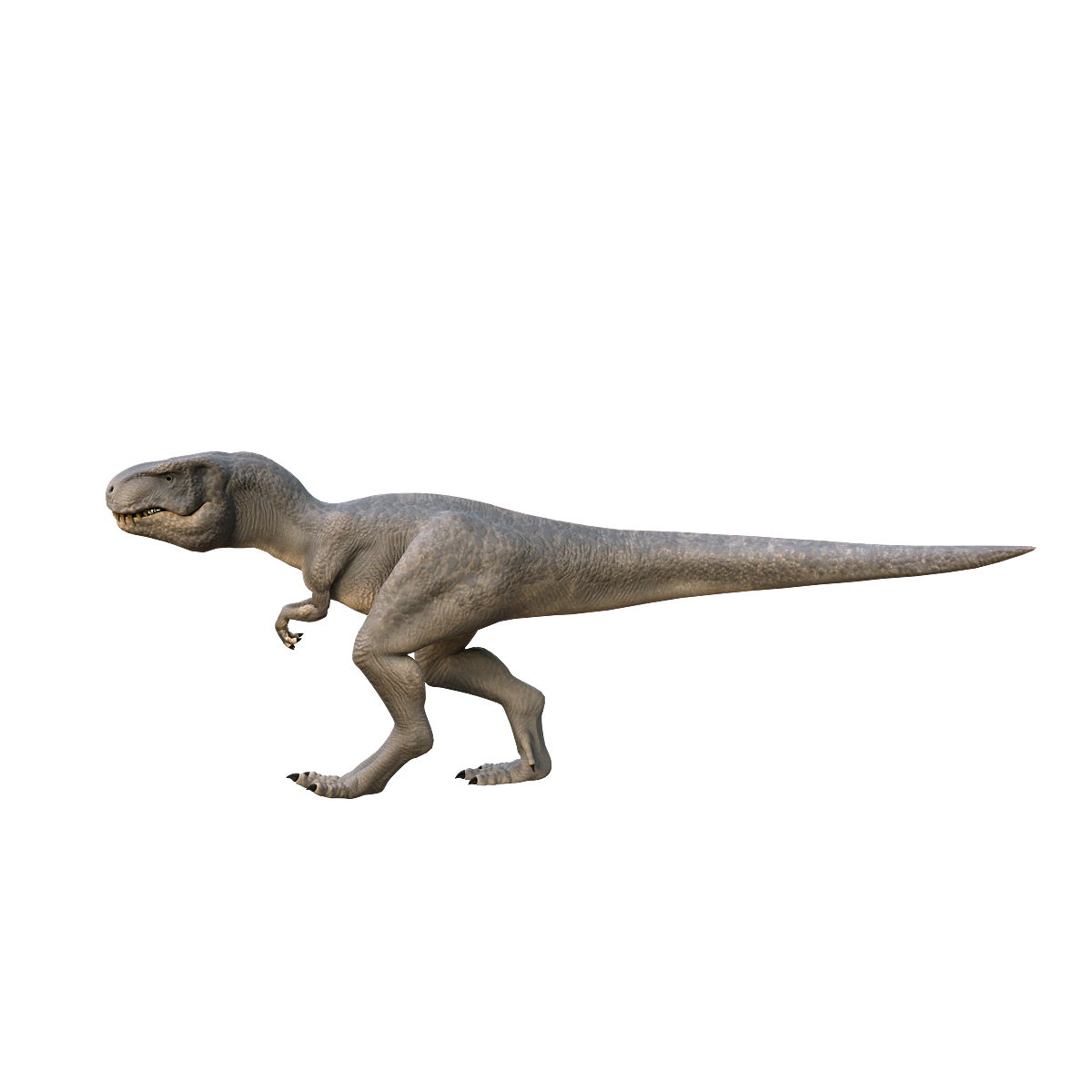 3D animation of Tyrannosaurus rex model