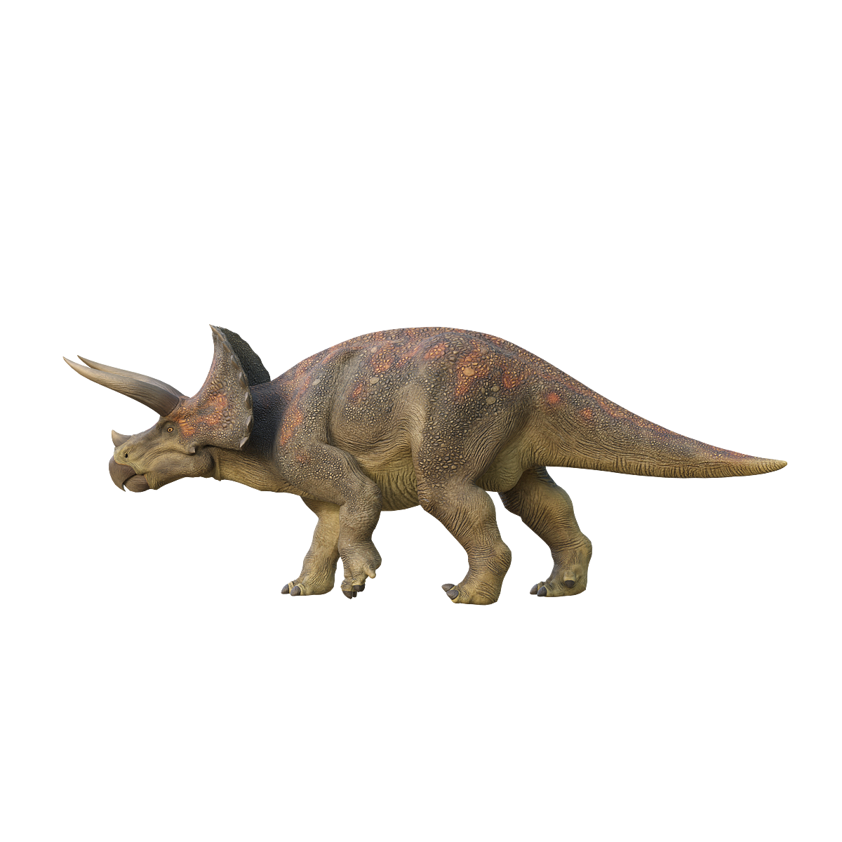 Triangle Dragon 3D Animation Model