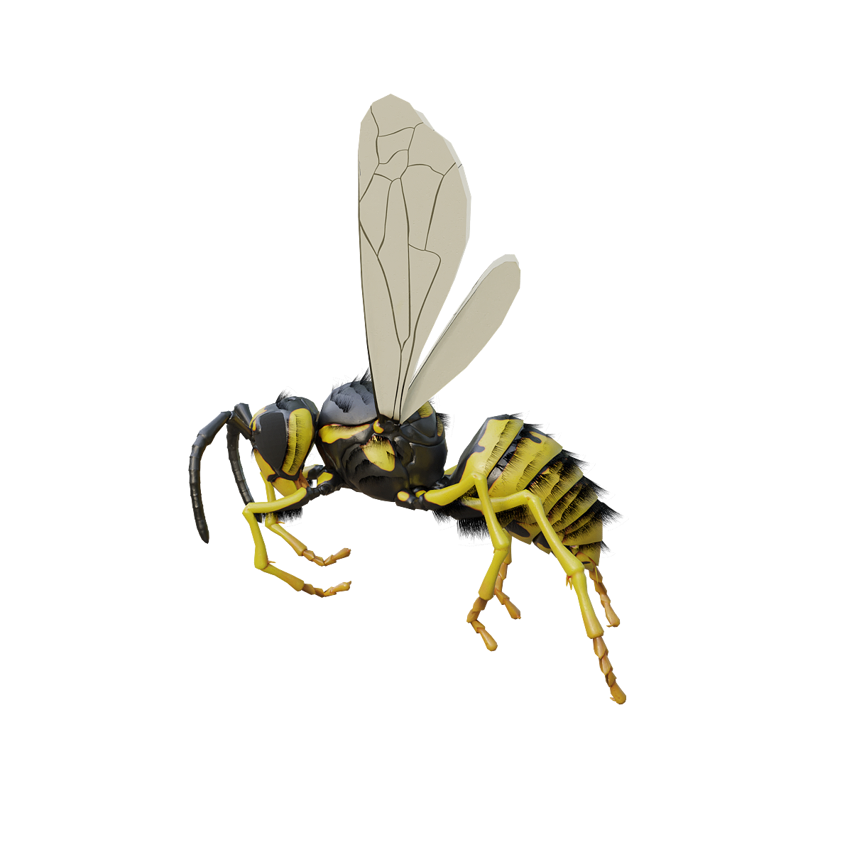 Wasp 3D model animation