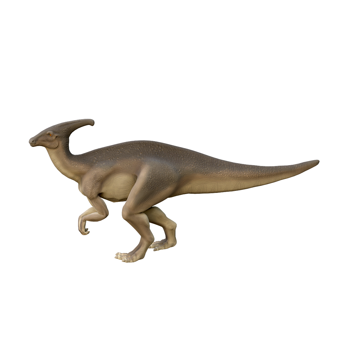 3D animation model of the secondary comb dragon