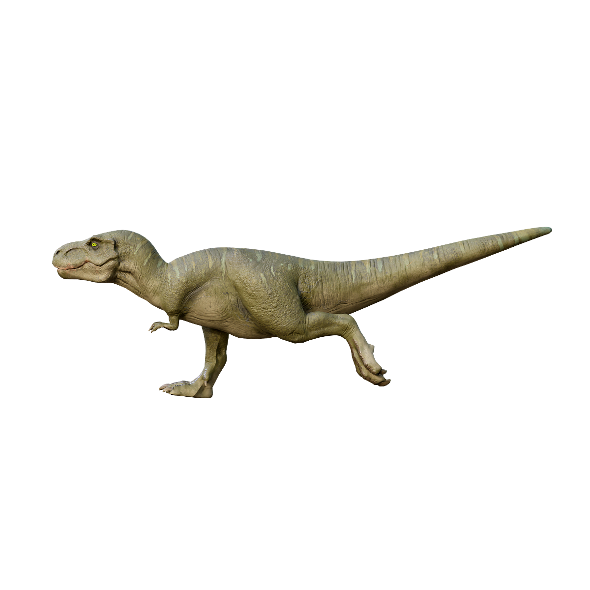 Tyrannosaurus Rex (with 3D animated model)