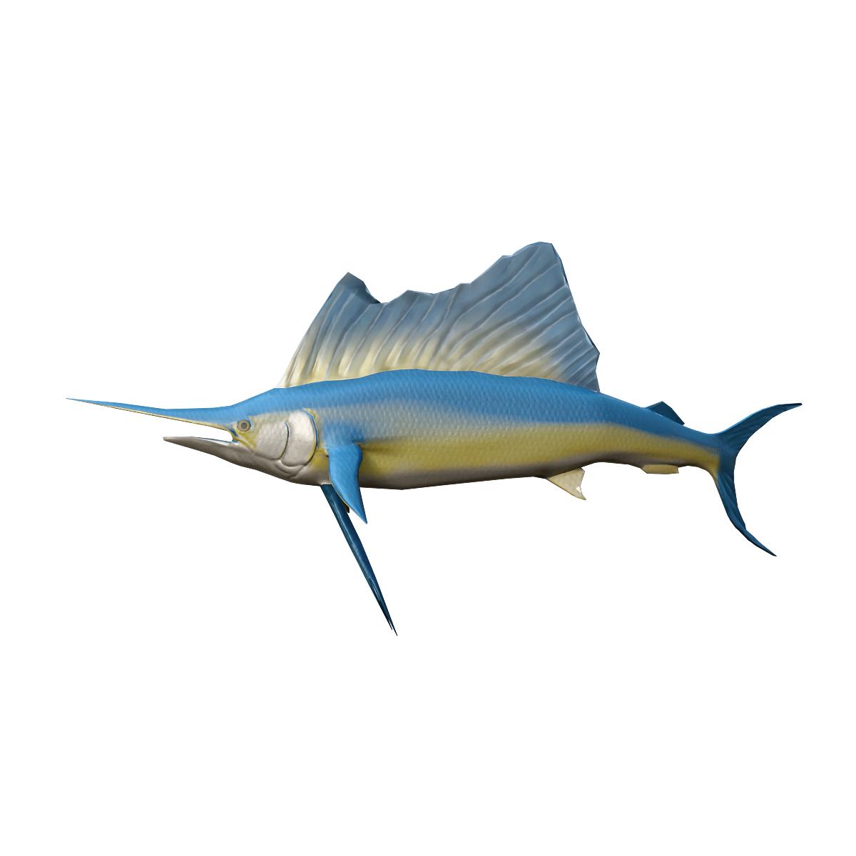 Sailfish (with 3D animated model)