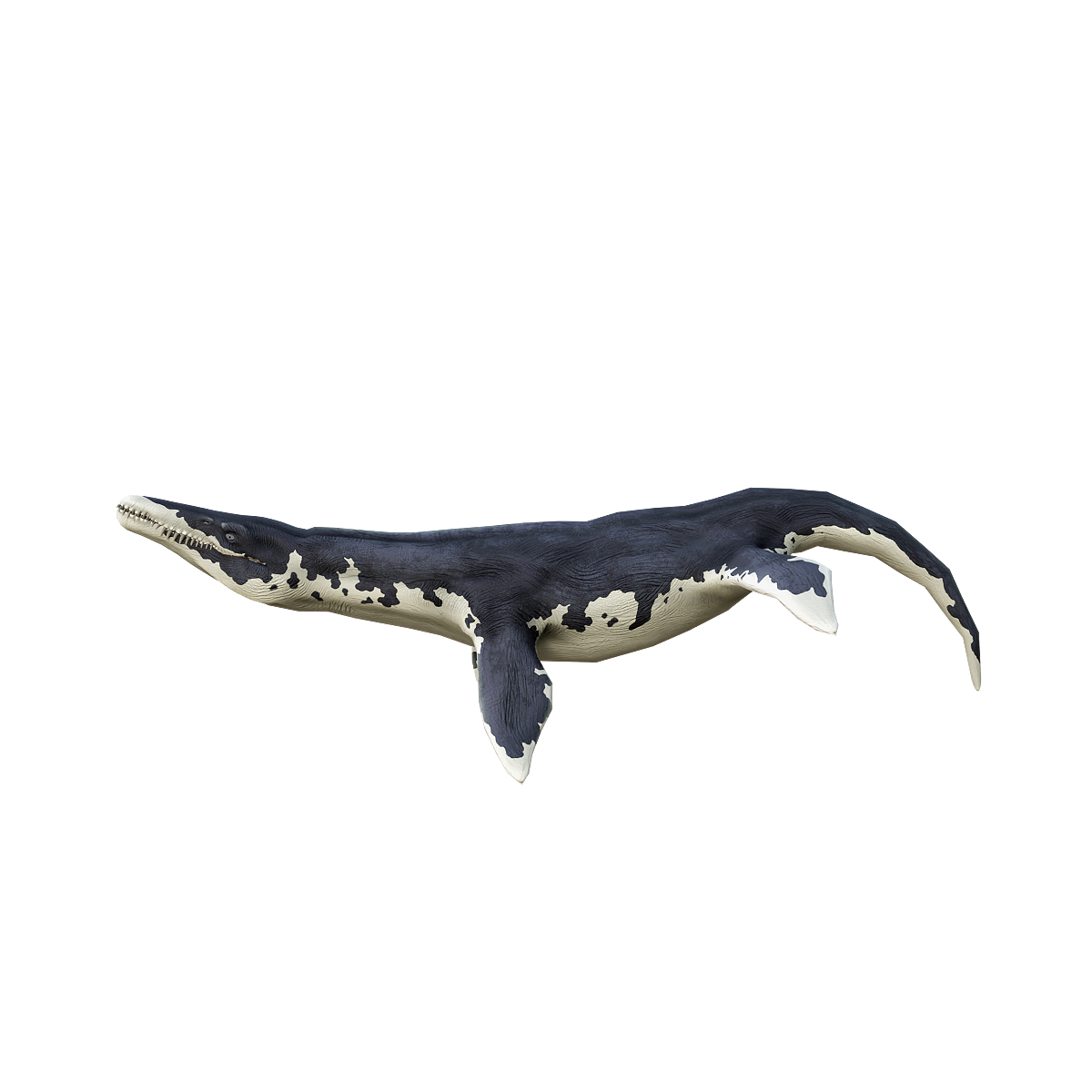 Sliding Dragon 3D Animation Model