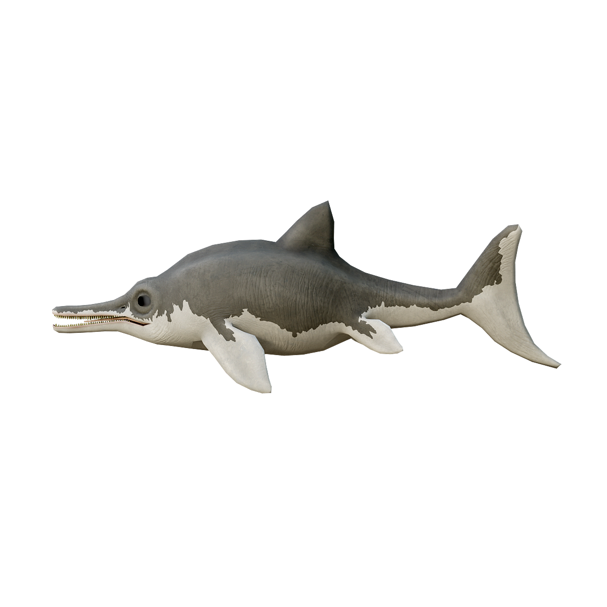 Fish Dragon Animation 3D Model