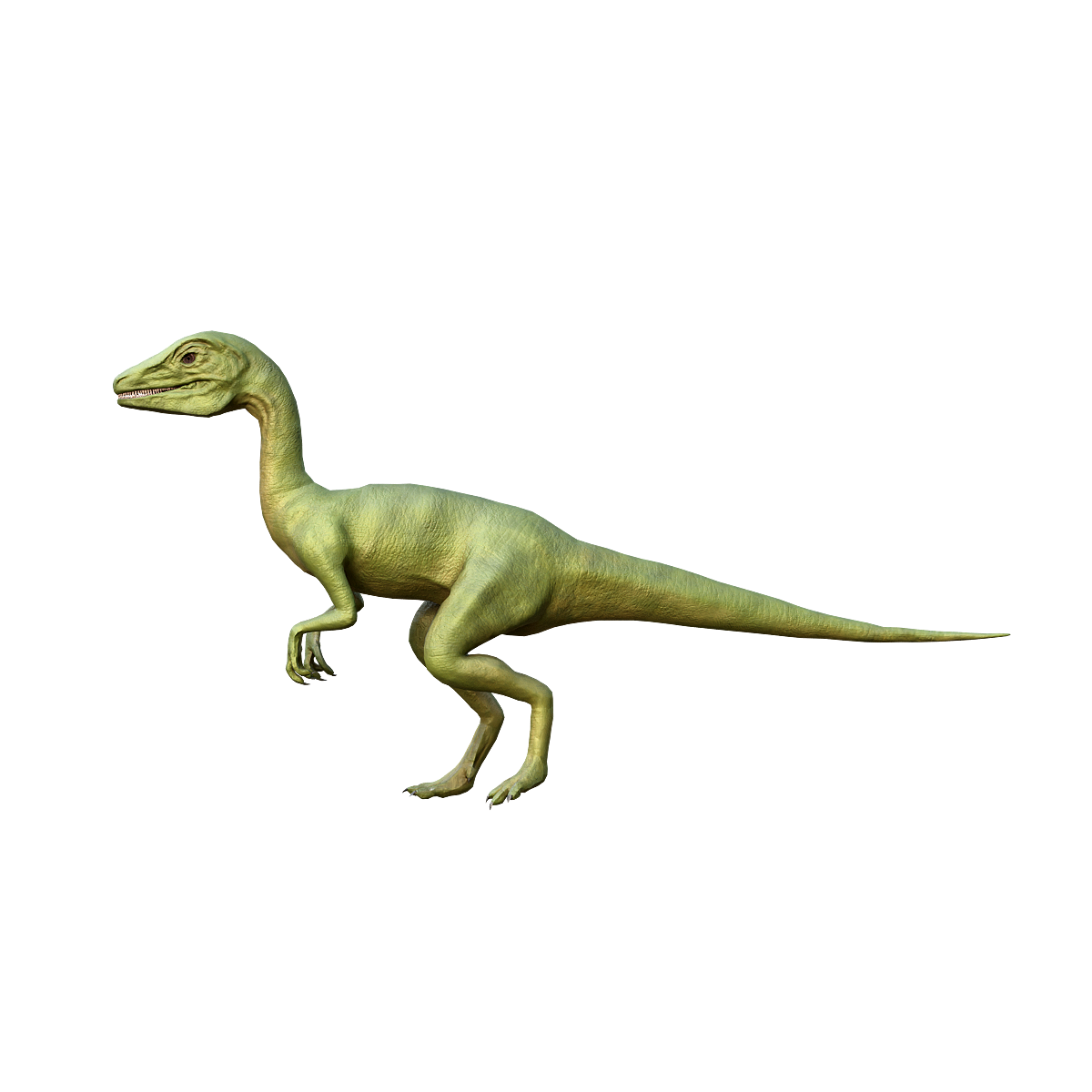3D Animation Model of Megalosaurus