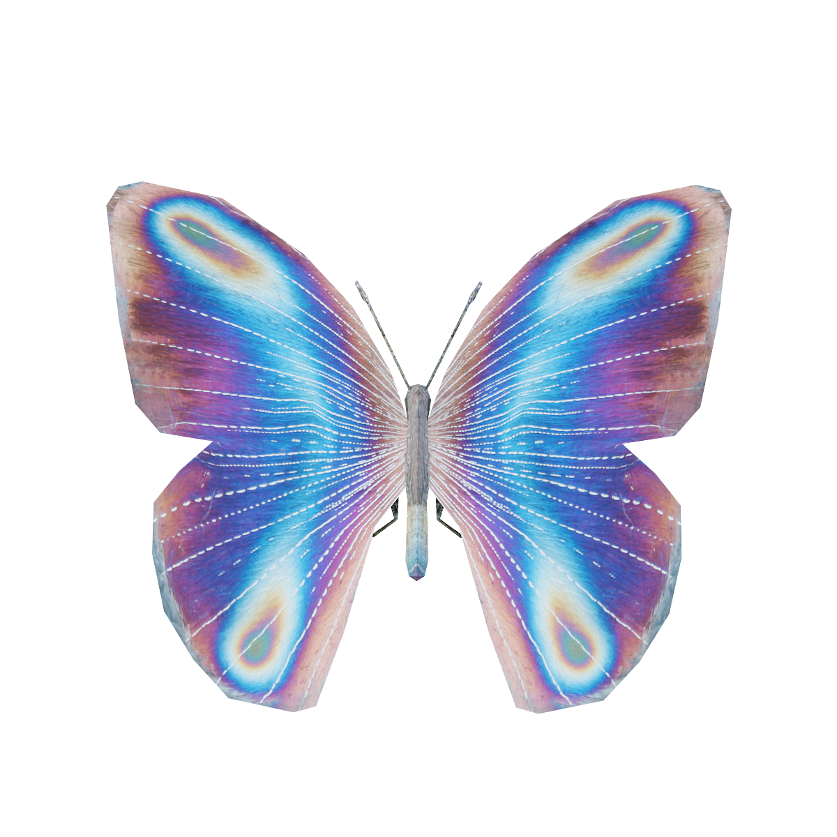 Flash Butterfly (with 3D Animation Model)