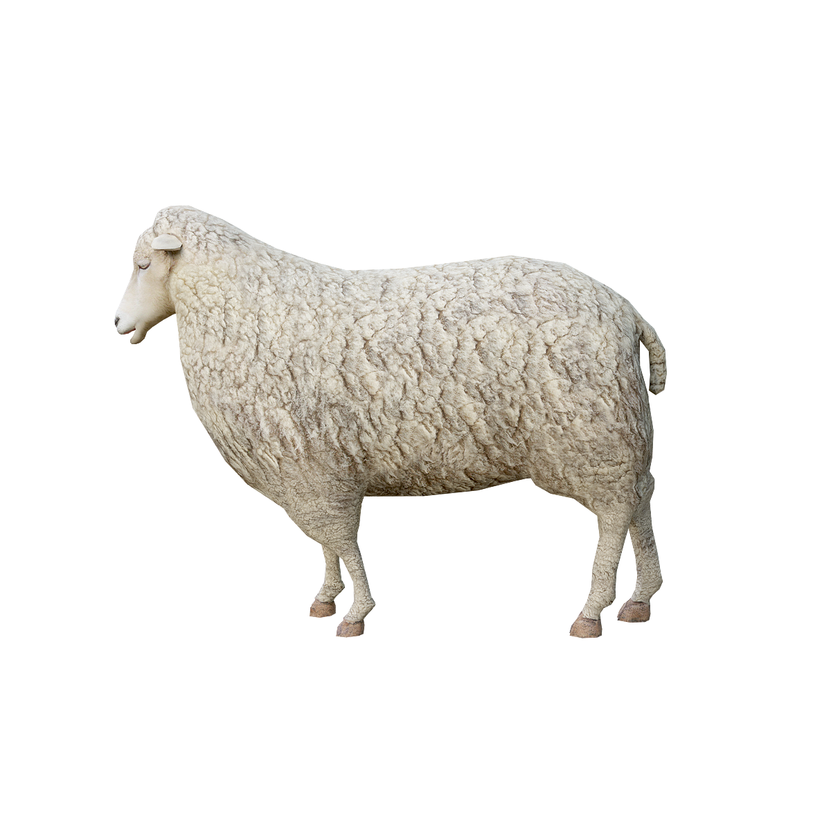 Sheep 3D Animation Model