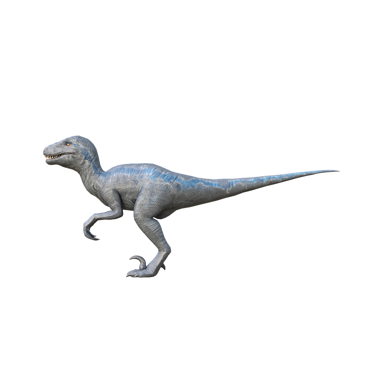 Blue Hairless Swift Raptors 3D Model Animation