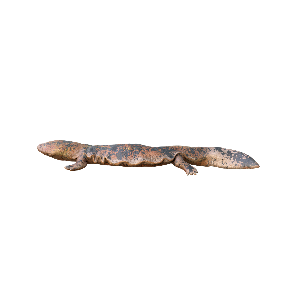 Japanese giant salamander 3D model animation glb