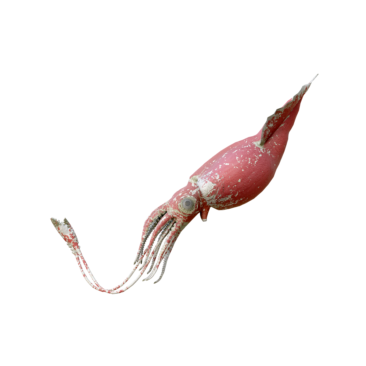 Giant Octopus 3D Model Animation