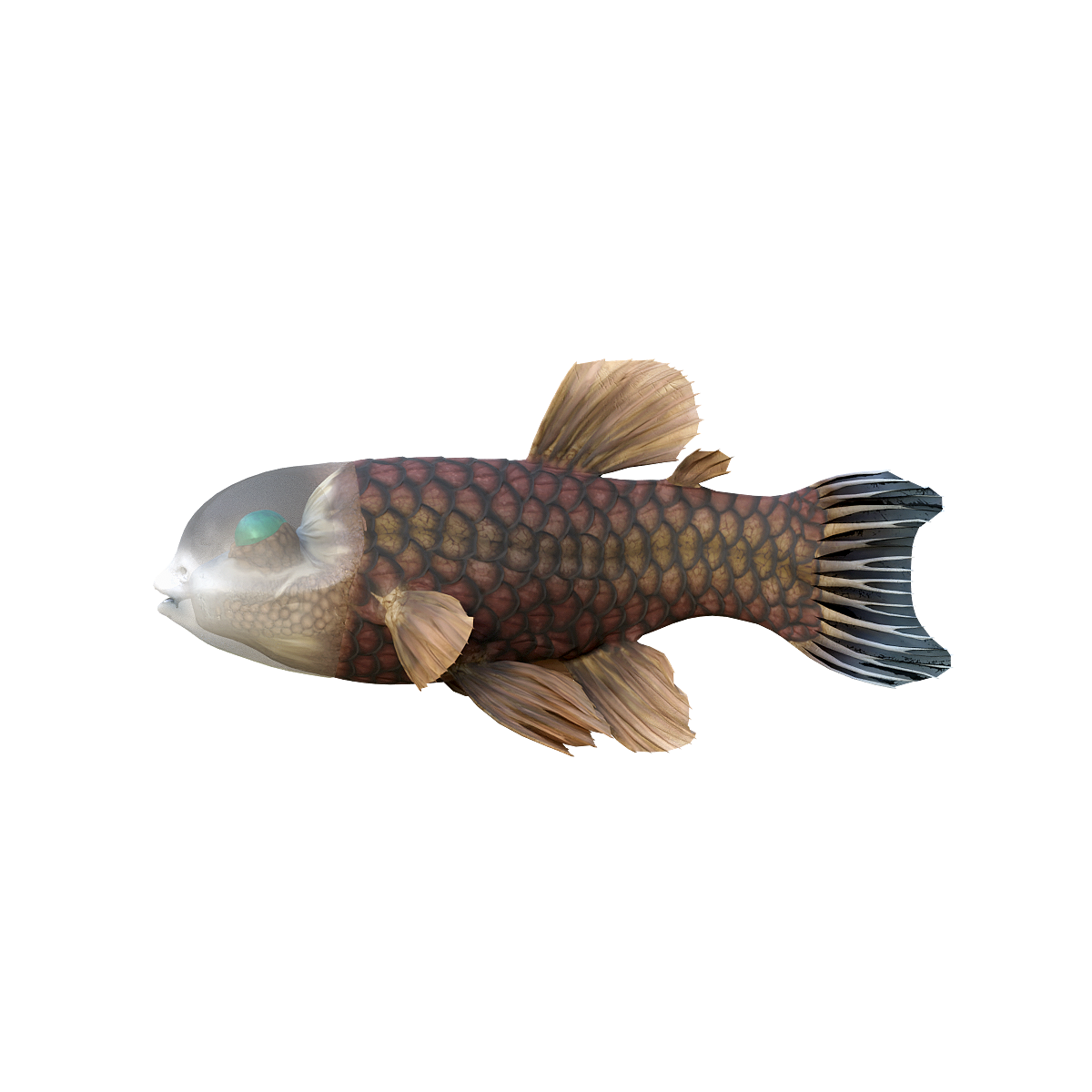 3D model animation of Guanyan fish glb