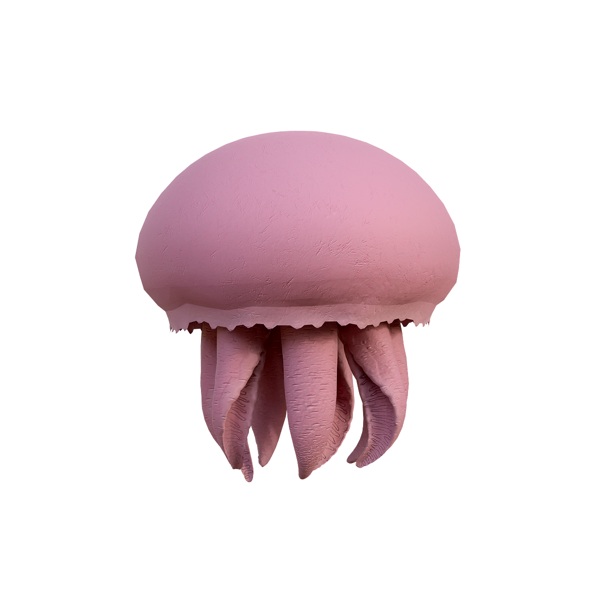 Mermaid Jellyfish (with 3D Animation Model)