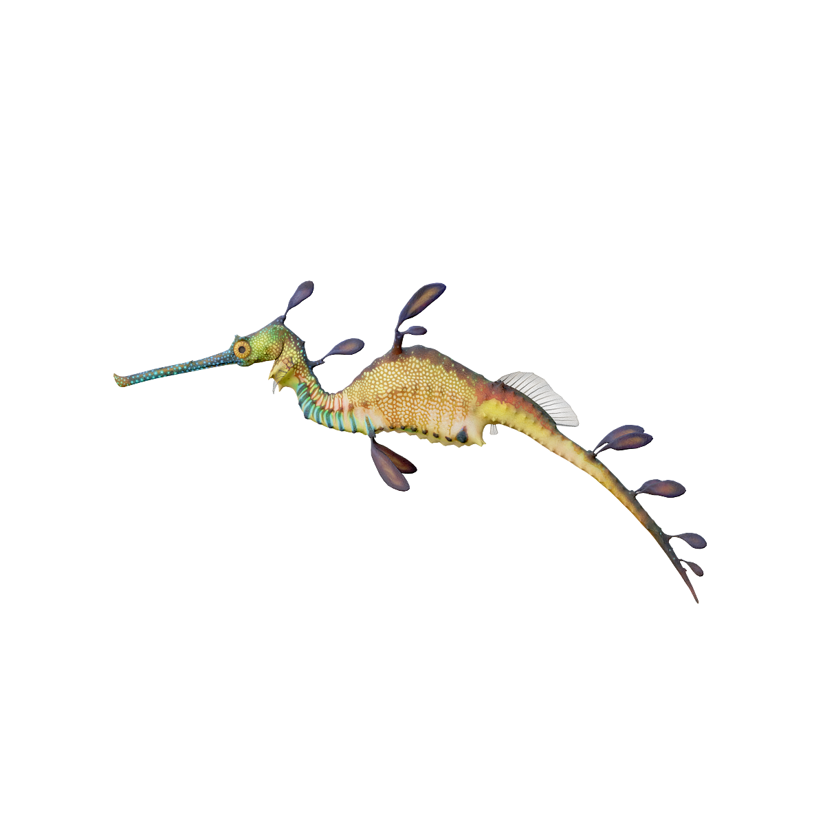 Grass Sea Dragon 3D Model Animation