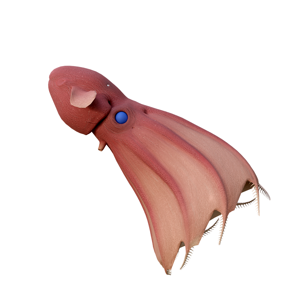 Ghost Octopus 3D Model with Animation