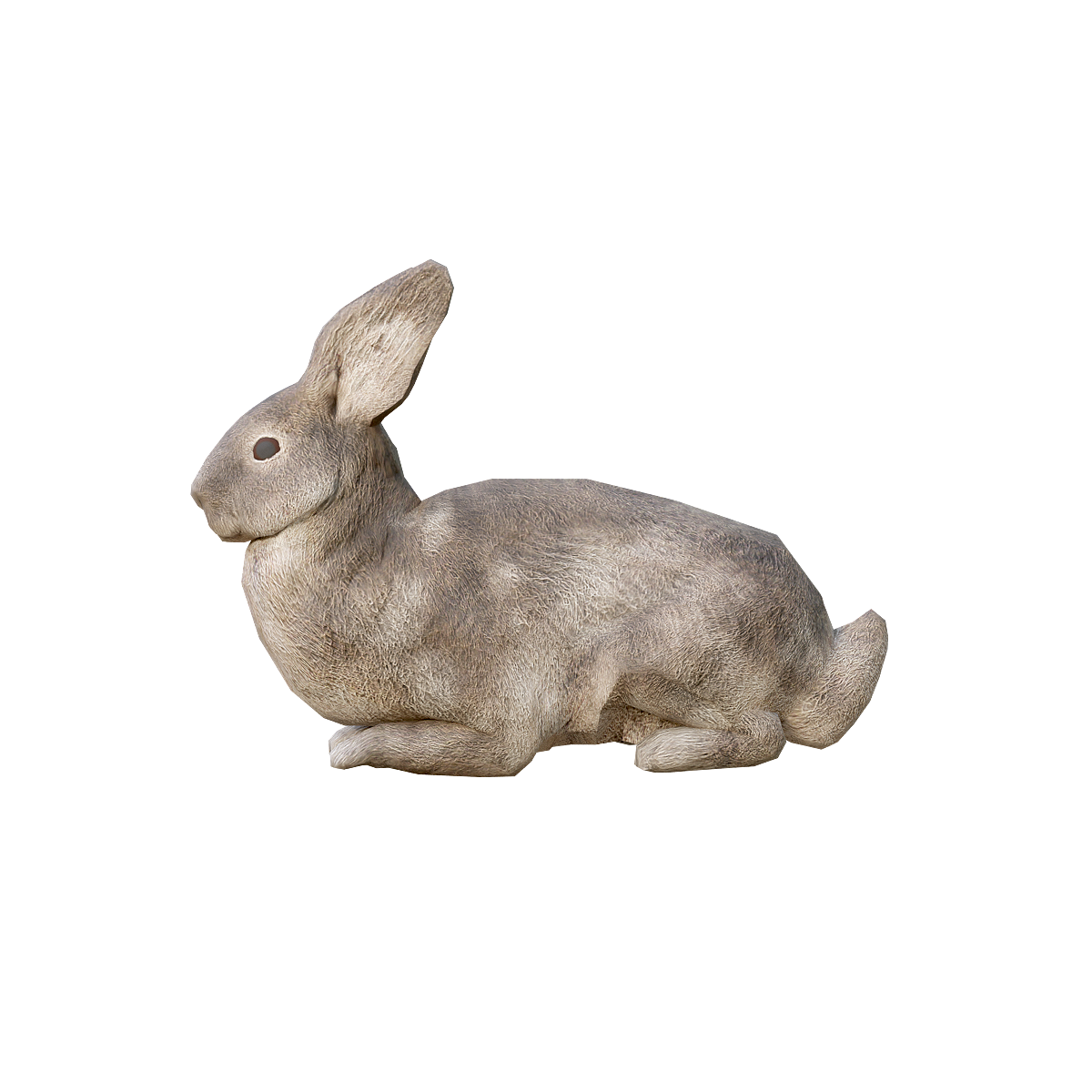 Rabbit model with animation