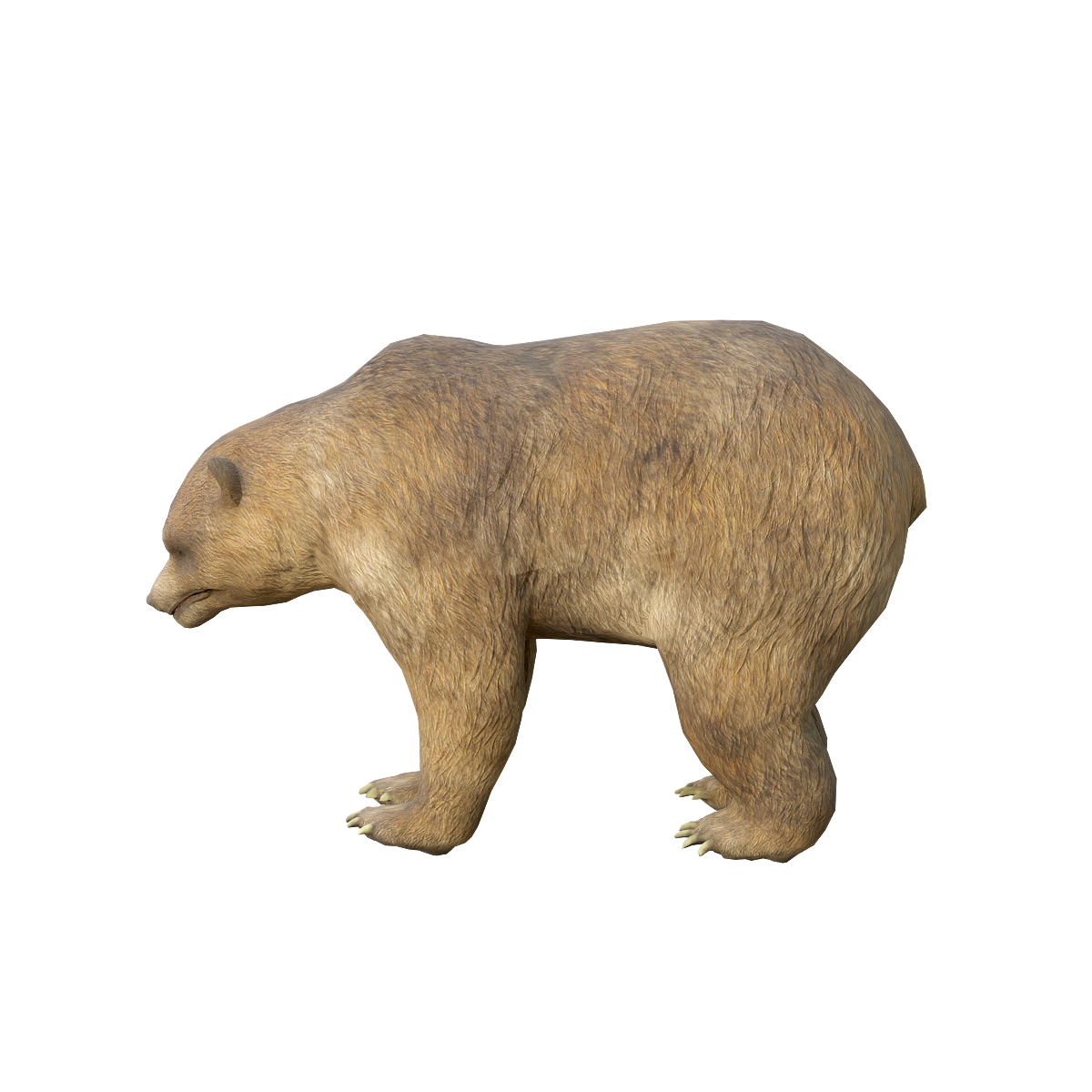 Brown Bear 3D Model with Animation