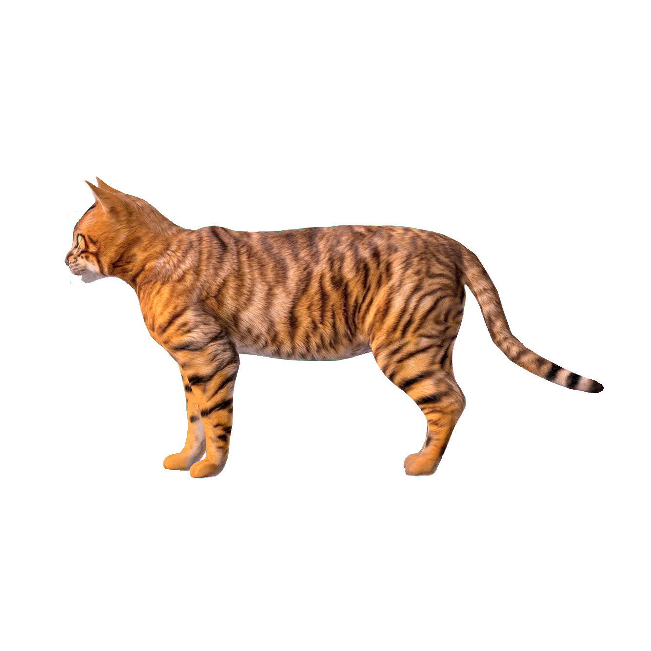 Toy Tiger Cat 3D Animation Model