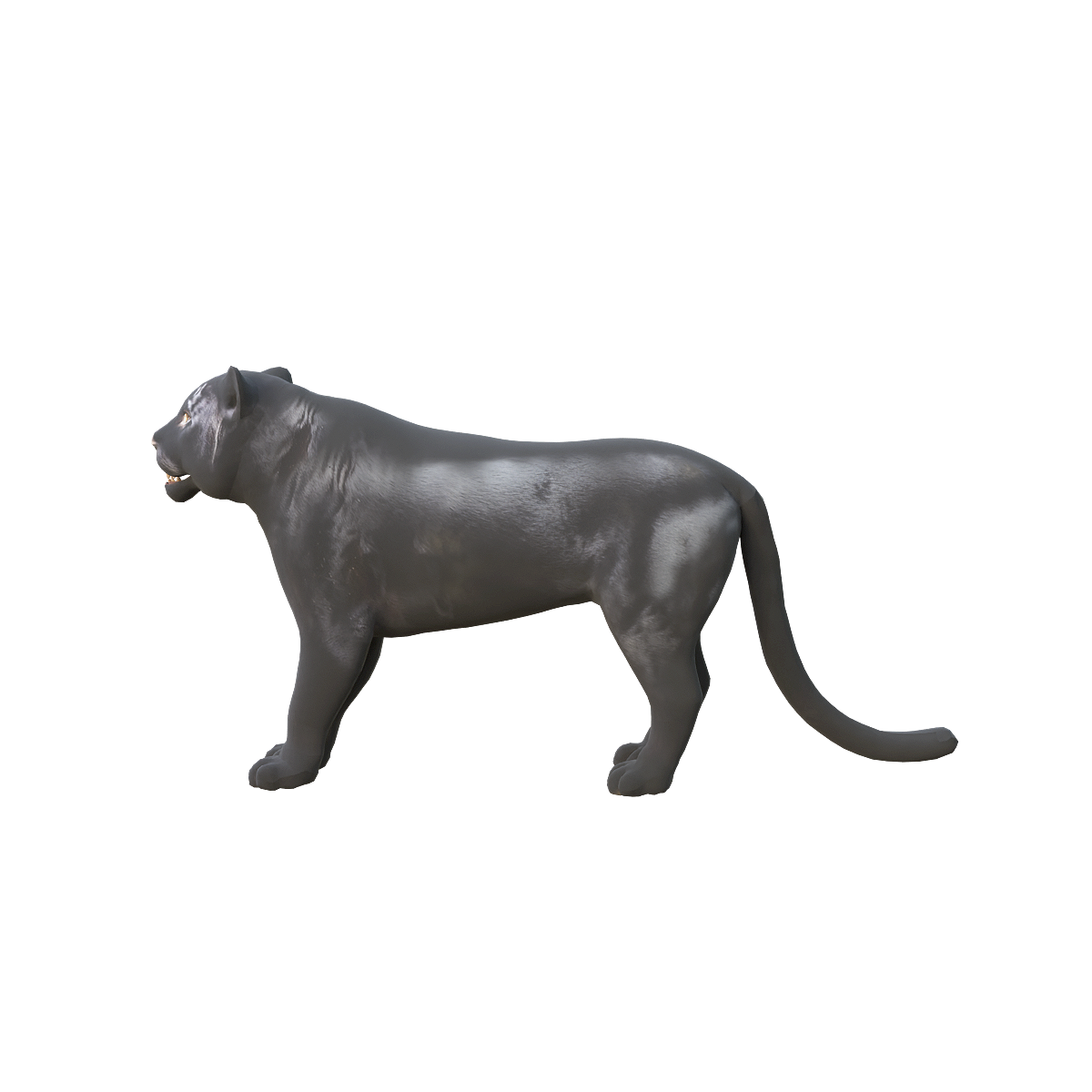 Black Panther (with 3D animated model)