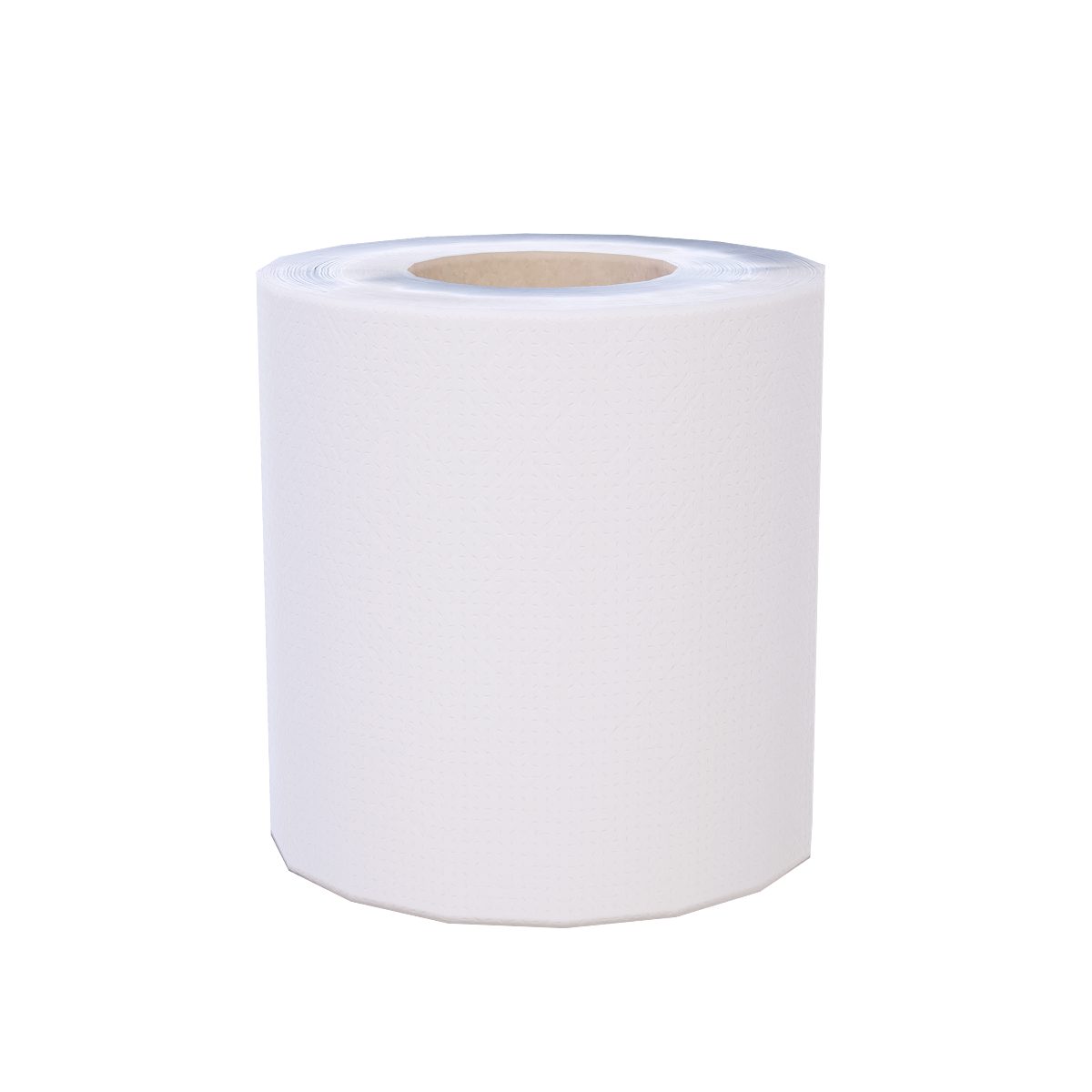 a roll of toilet paper