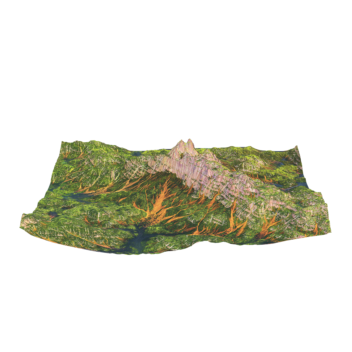 Tropical Rainforest Terrain