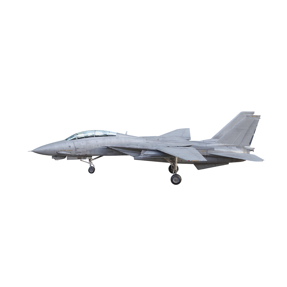 American F-14 Tomcat fighter