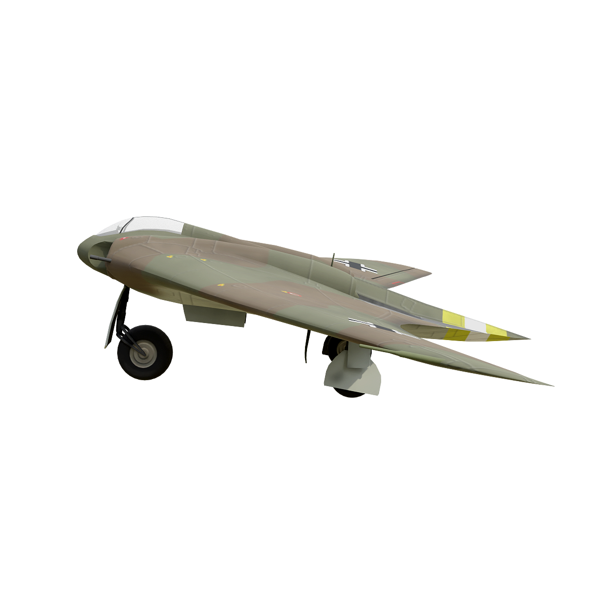 German GothaGo229 fighter