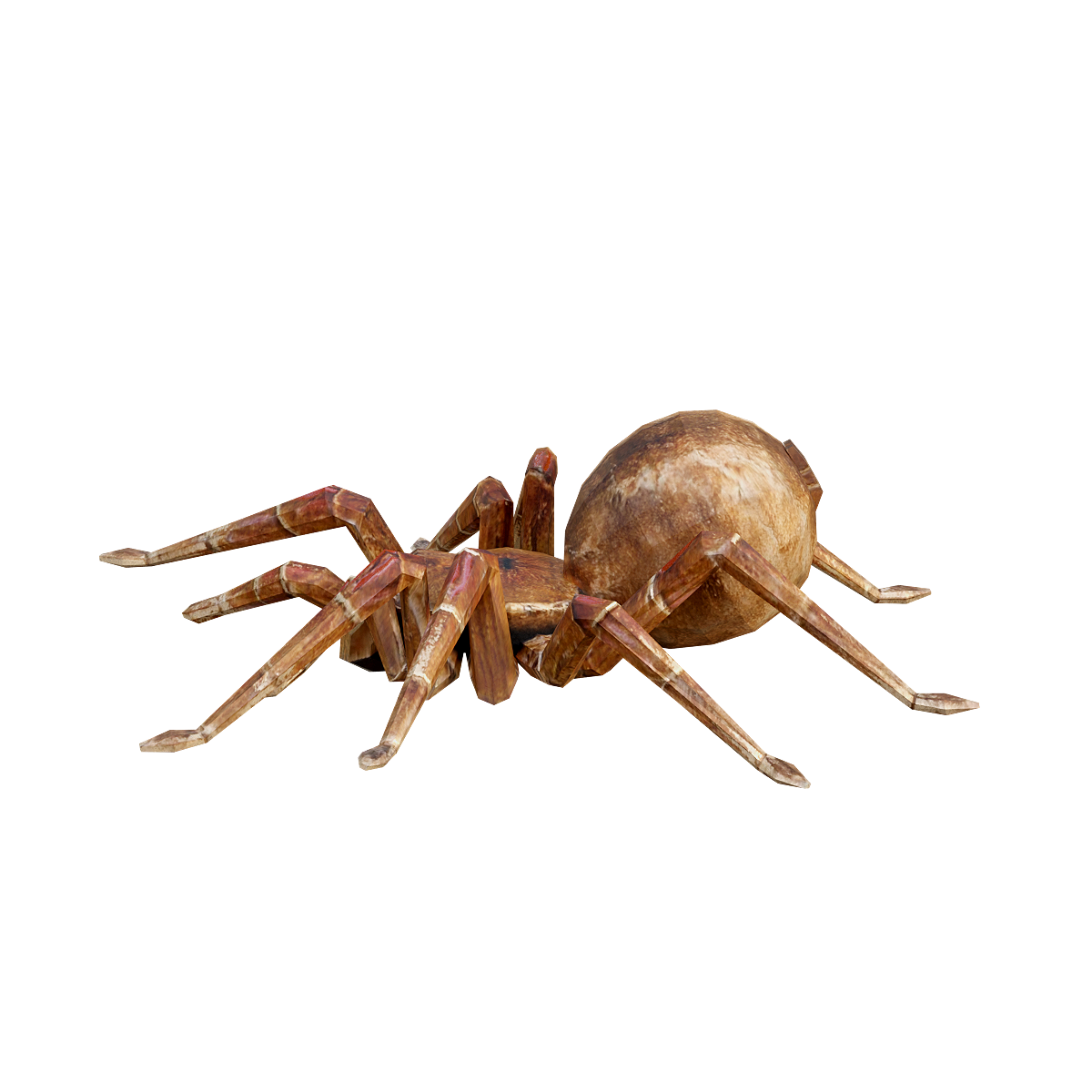 Tarantula 3D Model Animation